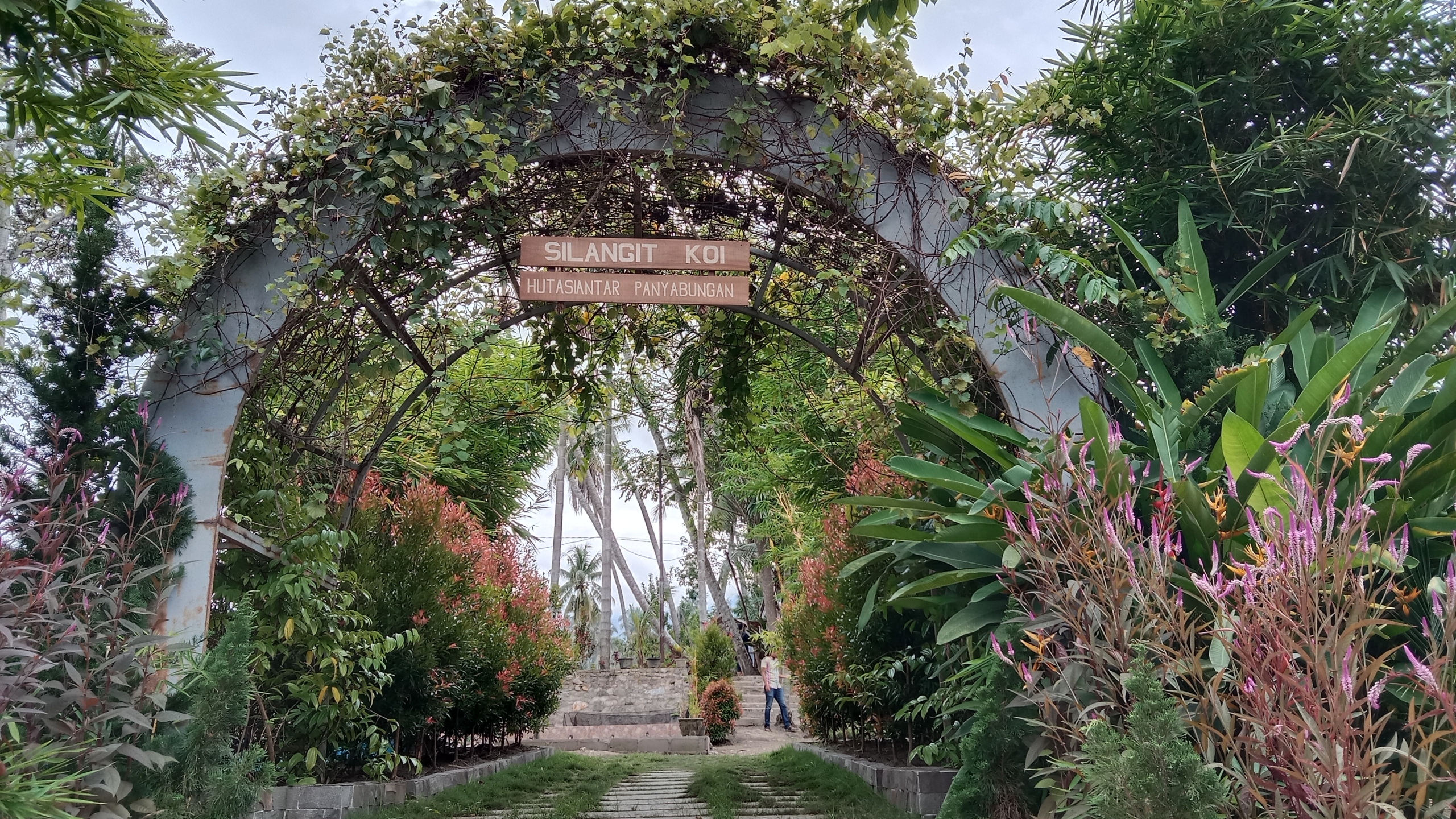 Silangit Koi: Wisata 3 Dimensi di Kotasiantar Panyabungan