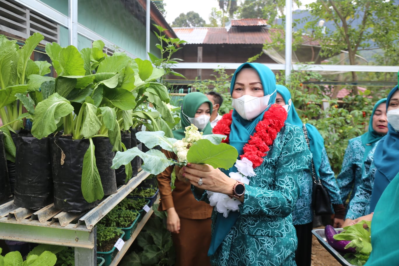 Dukung Program Hatinya PKK, Pemkab Madina Dorong P2L