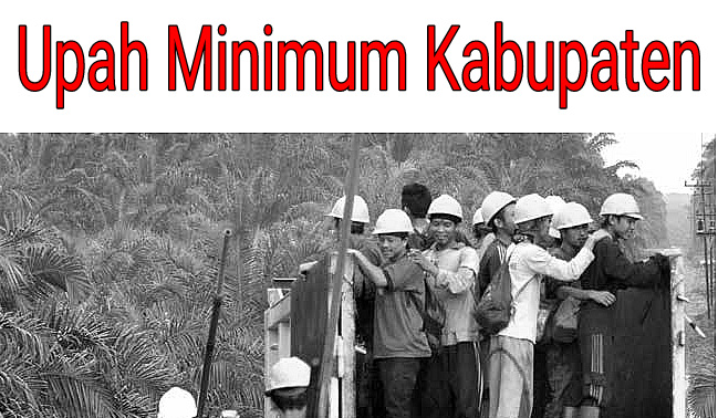 UMK 22 Kabupaten/Kota Sudah Diteken Gubsu, Madina Belum Ada?