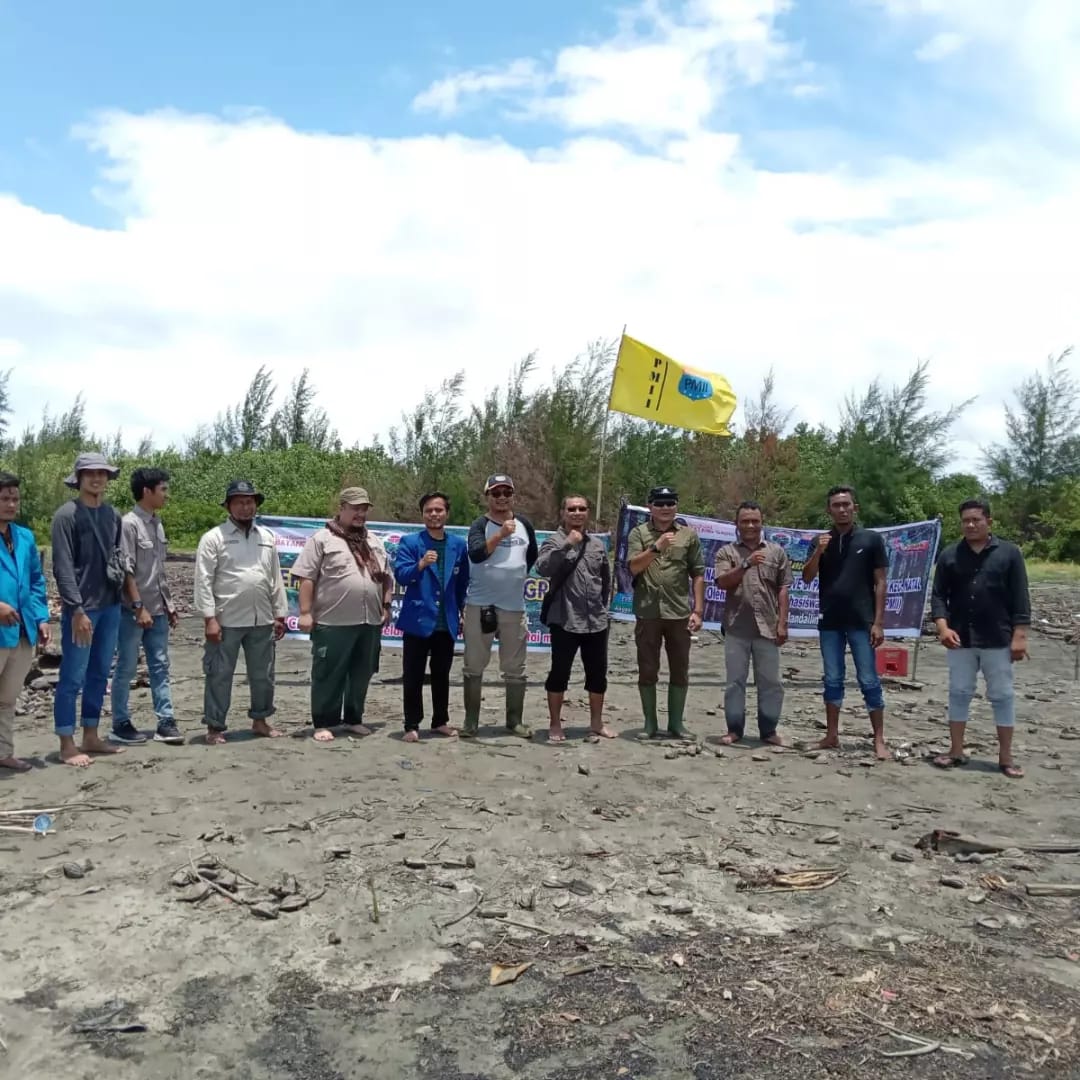 Peduli Lingkungan, PMII Madina Tanam Pohon Mangrove