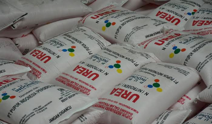 Tahun Ini Hanya Urea dan NPK yang Masuk Daftar Pupuk Subsidi