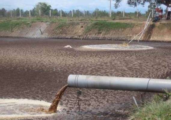 PT MAL Diduga Buang Limbah Berbahaya ke Sungai Marait