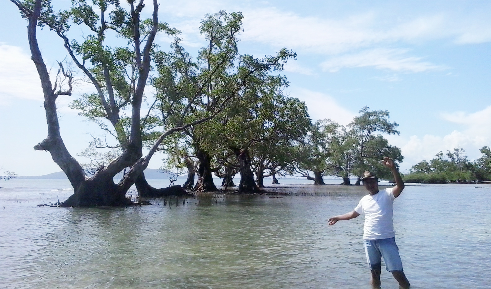 Mangrove Terkikis Ekonomi Nelayan Batahan Krisis