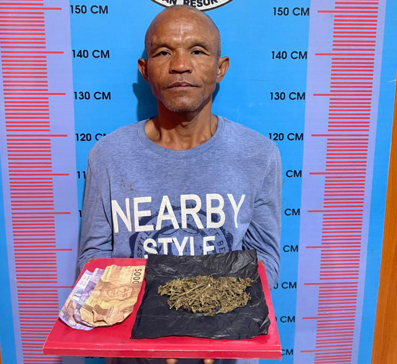 Miliki Ganja, Residivis Warga Panyabungan Jae Kembali Berurusan Dengan Polisi