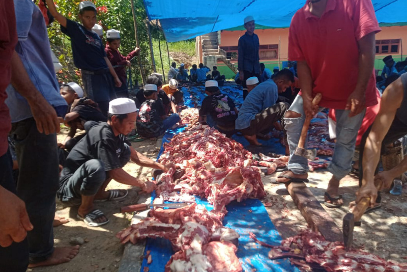 Ponpes Al Bi’tsatul Islamiyah dan Tradisi Kurbannya