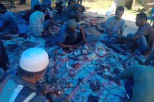 Para guru guru dan santri Ponpes Al Bi'tsatul Islamiah Simpang Suga, Kecamatan Panyabungan Timur, Mandailing Natal saat proses bagi bagi daging kurban.( fikri )