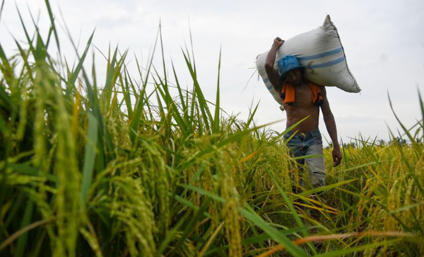 Survey: Mayoritas Warga Nilai Kepala Desa Tidak Kompeten