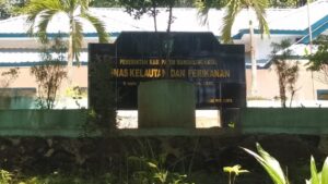 WhatsApp-Image-2020-05-15-at-13.34.48-1-768x432