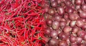 20220901-cabe-dan-bawang