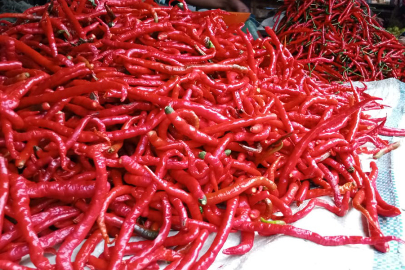 Jelang Ramadhan, Harga Cabai di Madina Pedas