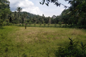 5 Tahun, Petani di Tambangan Tonga Tak Dapat Jatah Air