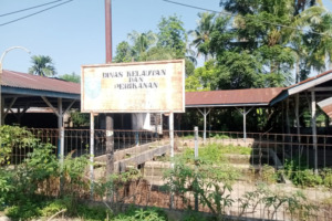 Pemkab Madina Setengah Hati Benahi BBI. Kebutuhan Ikan Mas Didatangkan Dari Rao Sumbar