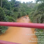 Todung Mulia Lubis : Pemerintah dan Kepolisian telah melakukan ‘ommission’ Terhadap Penambang Emas Liar di Madina