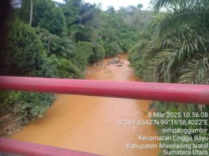 FB_IMG_1741618742329