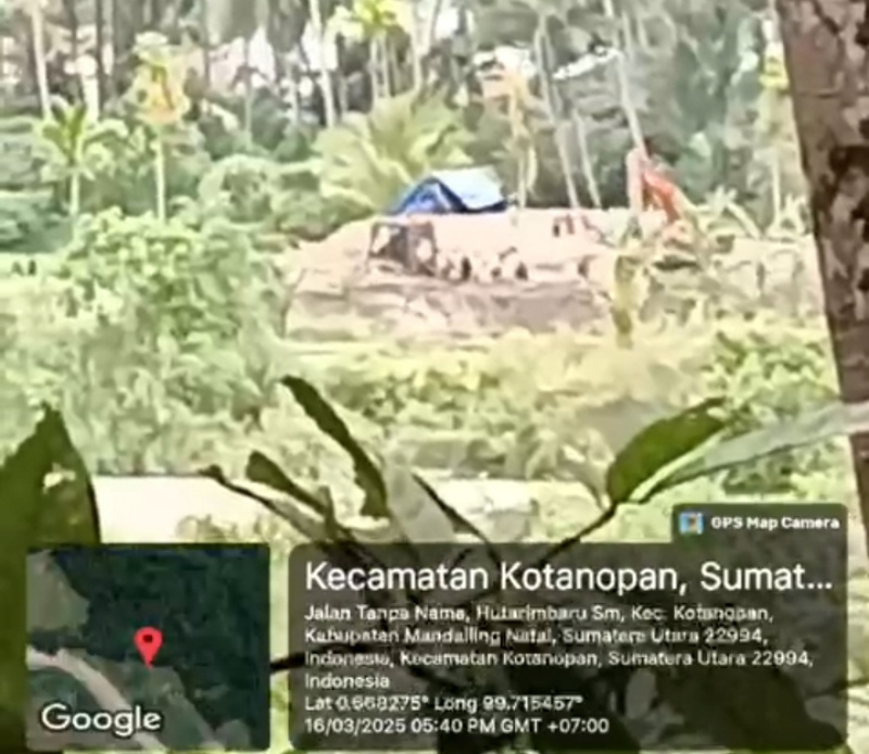 Alat Berat Milik Penambang Emas Ilegal di Kotanopan Kembali Beroperasi. Sebutan Todung Mulya Lubis Polisi dan Pemerintah ” Ommission ” Takberarti