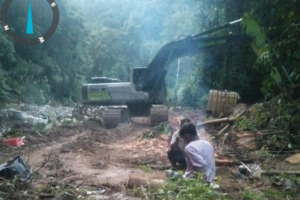 Pelaku Tambang Emas Ilegal Mulai Masuk Hutan TNBG Madina