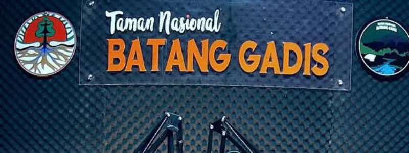 Warga Sumbar Garap Lahan Tambang Emas Ilegal di Kawasan TNBG Madina