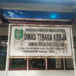 Sepanjang tahun 2025 ada 33 TKA di Madina, Didominasi Warga China 