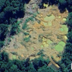 Pelaku Ilegal Maining Asal Sumbar Diduga Jadi Biangkerok Kerusakan Kawasan TNBG di Madina